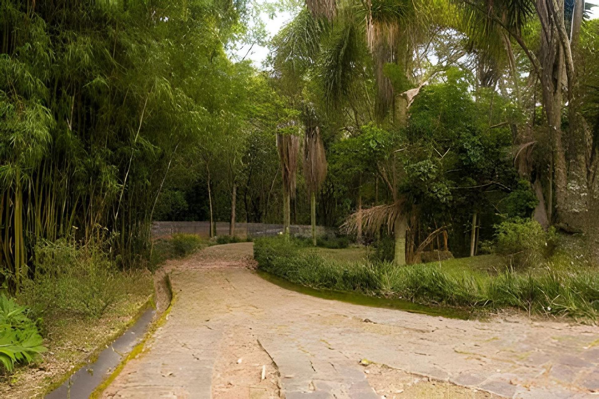 Sitio Em Sao Roque, Paraiso Ao Lado De Sao Paulo! Villa Bagian luar foto