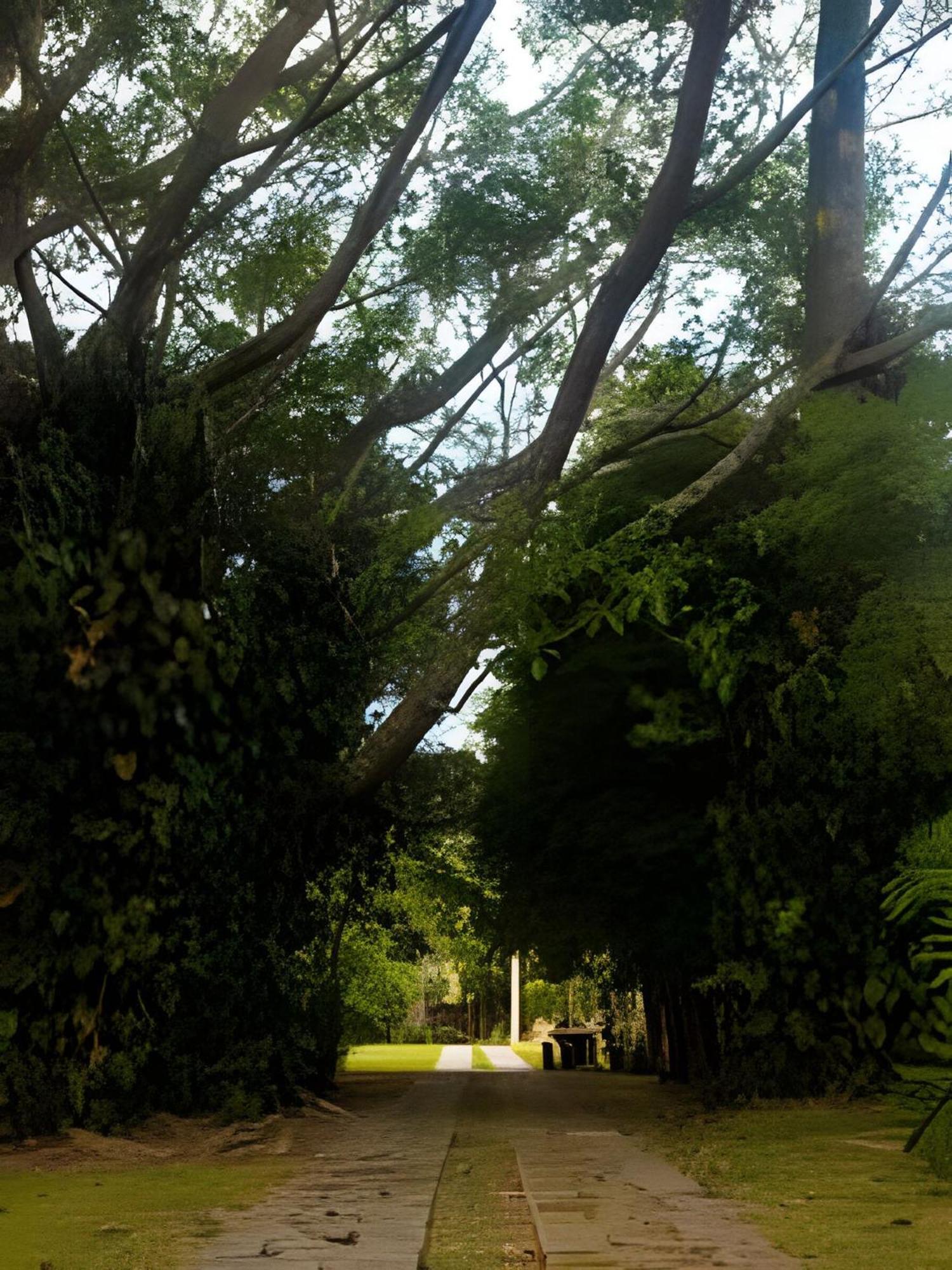 Sitio Em Sao Roque, Paraiso Ao Lado De Sao Paulo! Villa Bagian luar foto