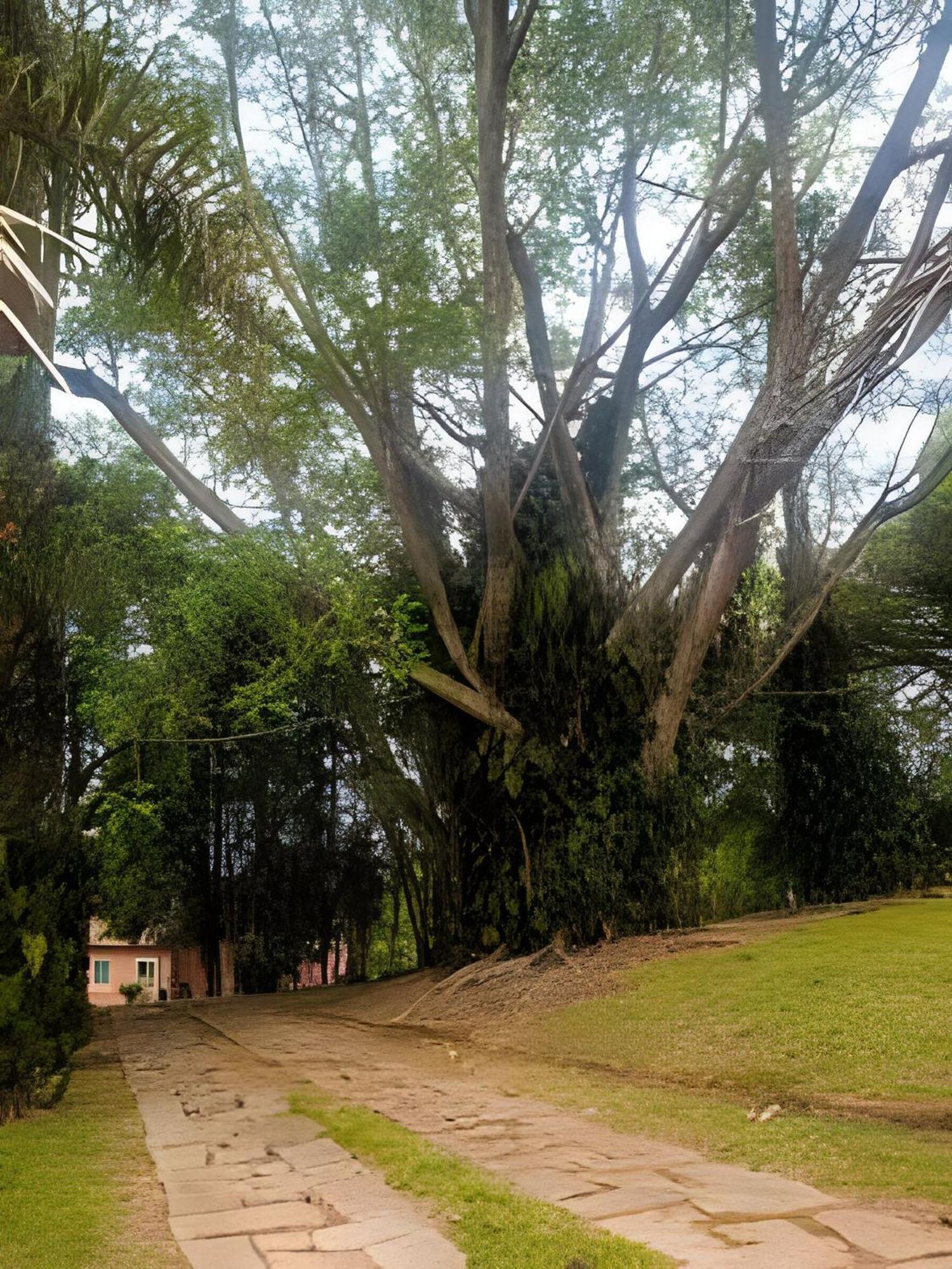 Sitio Em Sao Roque, Paraiso Ao Lado De Sao Paulo! Villa Bagian luar foto